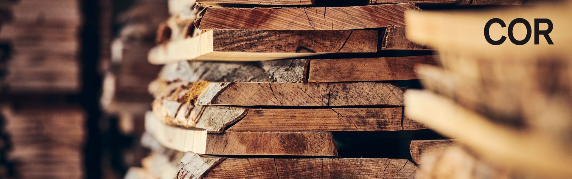 heimisches Holz, das als nachwachsender Rohstoff von COR bei der Möbelherstellung eingesetzt wird