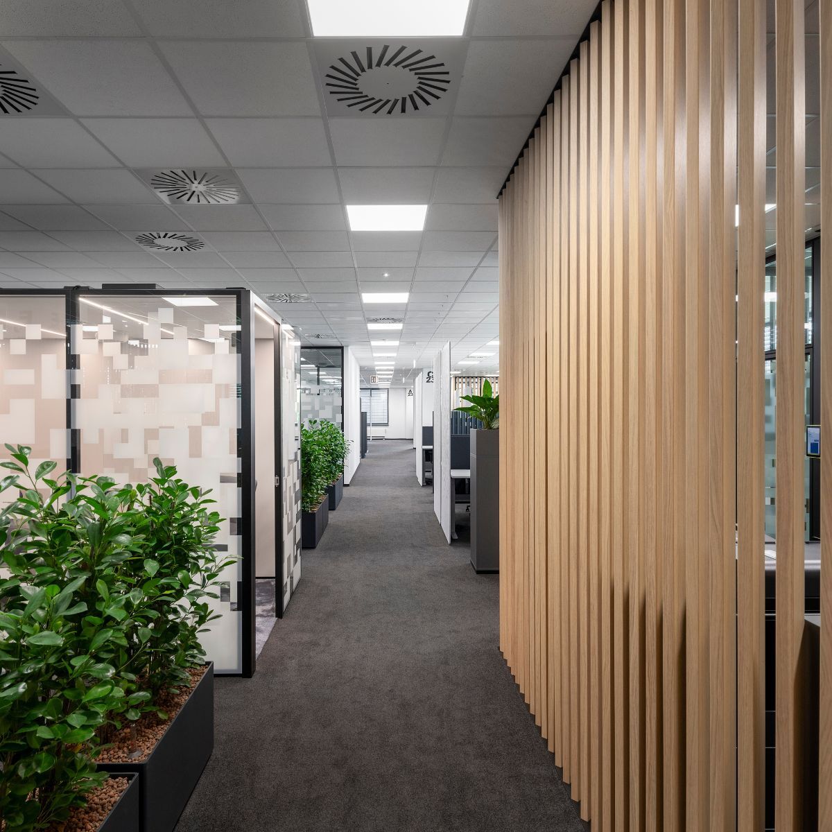 Blick ins Open Office von Advantest am Standort München, geplant und eingerichtet von designfunktion
