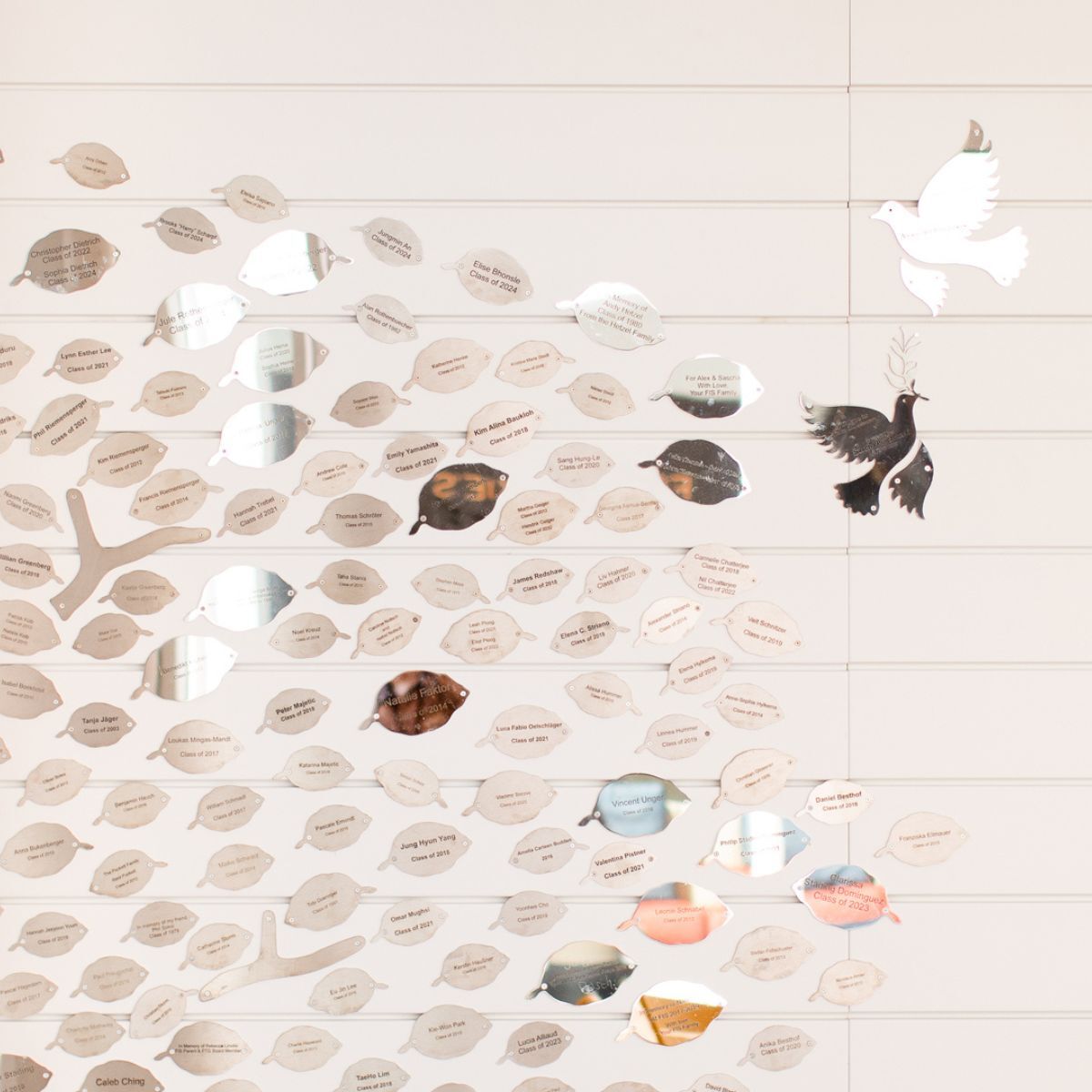 halbtransparentes Fensterbild in der Cafeteria der Frankfurt International School, geplant und eingerichtet von designfunktion