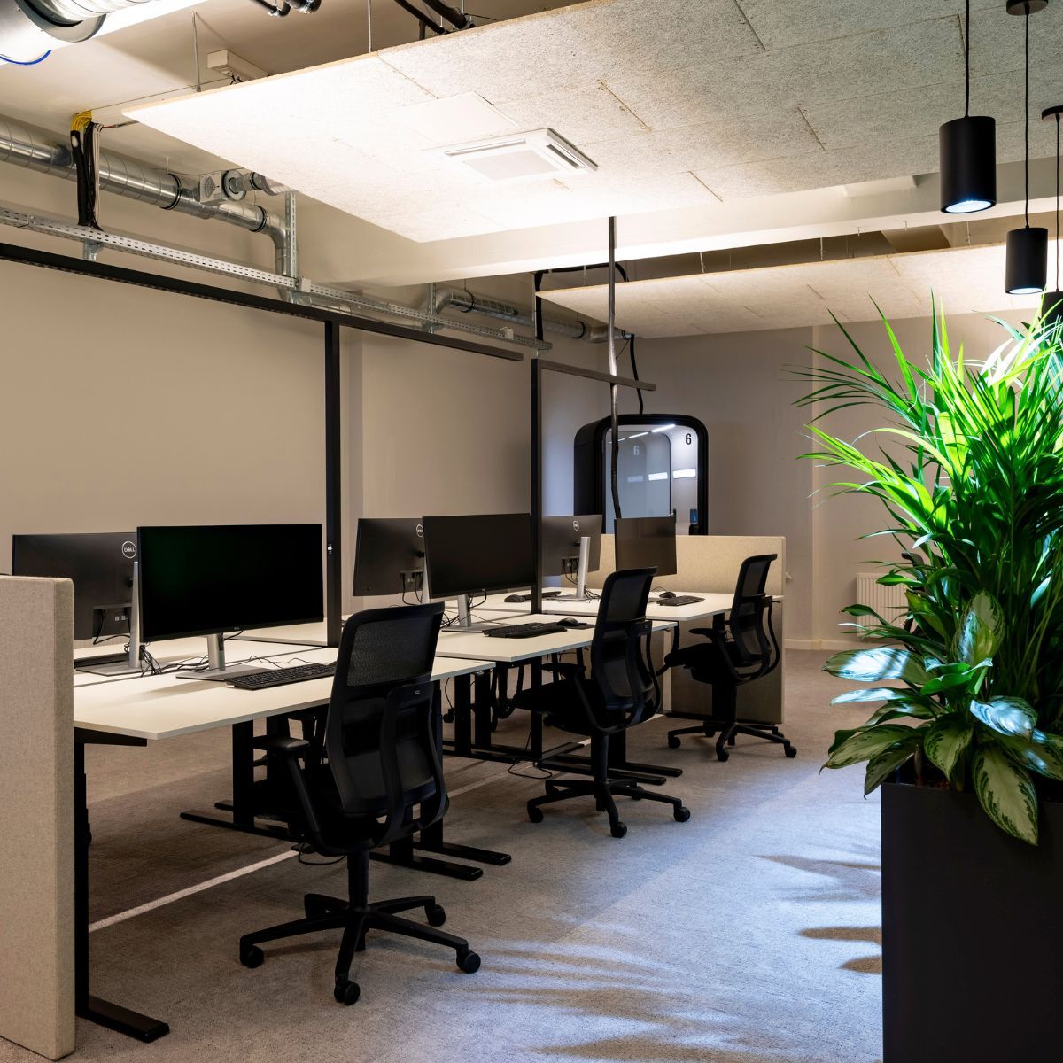 Schreibtischarbeitsplätze im Headquarter von Proxima Fusion, konzipiert und eingerichtet von designfunktion
