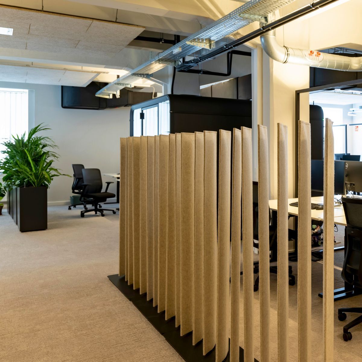 Trennelement als Sichtschutz im Headquarter von Proxima Fusion, konzipiert und eingerichtet von designfunktion