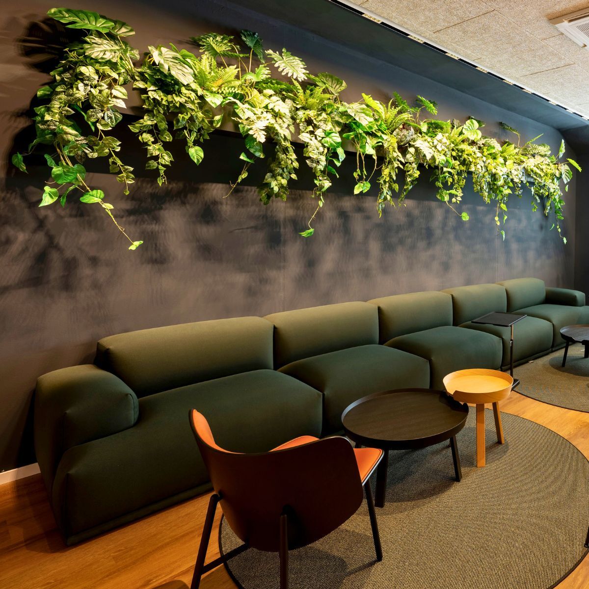 begrünte Wand und Sofa im Headquarter von Proxima Fusion, konzipiert und eingerichtet von designfunktion