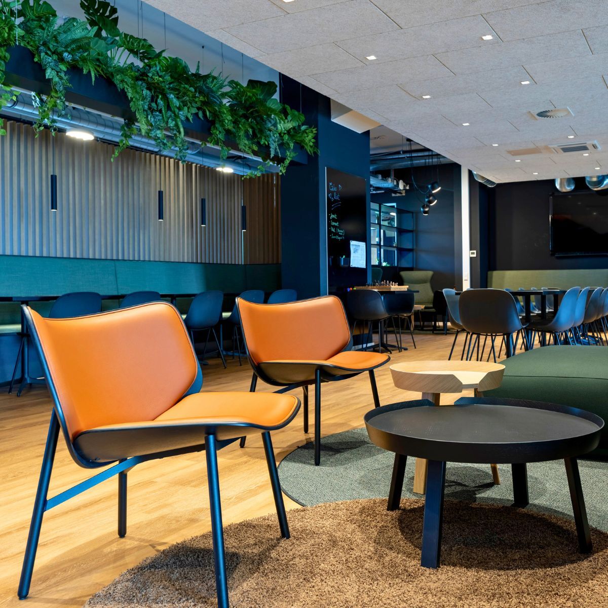 Mitarbeiter Café mit verschiedenen Sitzgelegenheiten im Headquarter von Proxima Fusion, konzipiert und eingerichtet von designfunktion