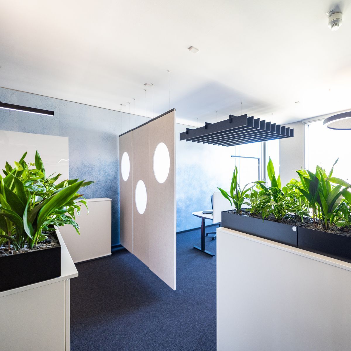 Offene Bürofläche Büro der Sparkassenakademie Baden-Württemberg, eingerichtet von designfunktion