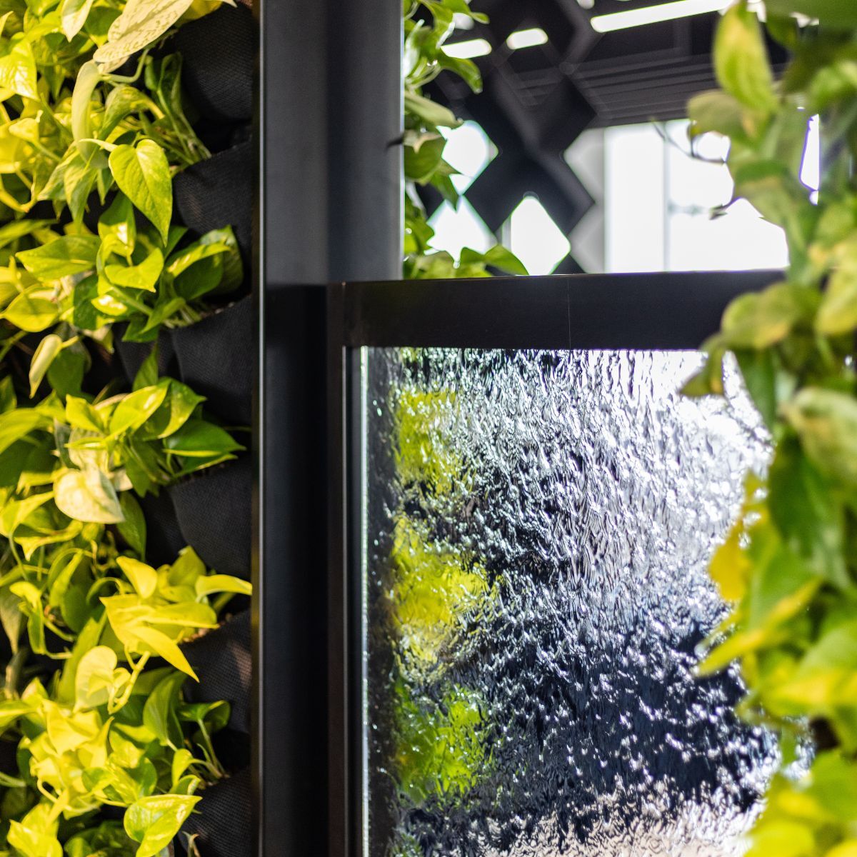 BBegrüntes Fenster im Büro der Sparkassenakademie Baden-Württemberg, eingerichtet von designfunktion